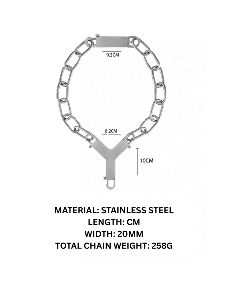 Y-SHAPED PENDANT AND CHAIN - Image 7